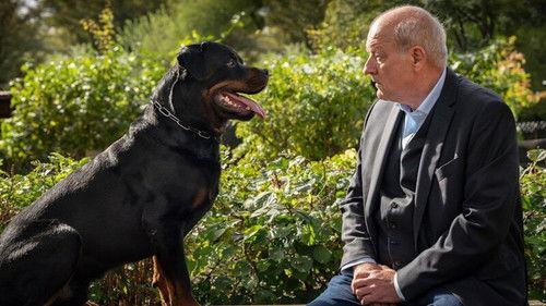 Wilsberg Season 1 Episode 77 - Episode 77