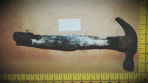 Killer Cases Season 6 Episode 3 - Mystery in the Blueberry Fields