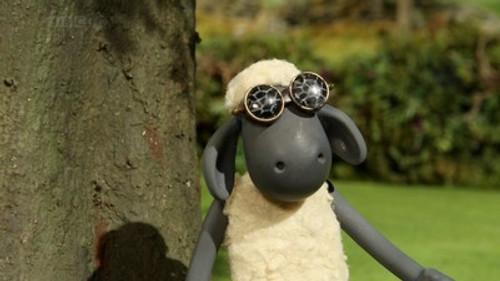 Shaun the Sheep Season 2 Episode 12 - Ewe've Been Framed