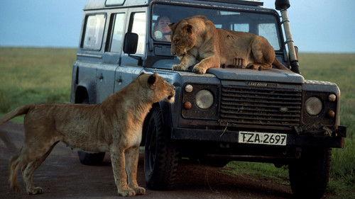 Nature Season 23 Episode 1 - Chasing Big Cats