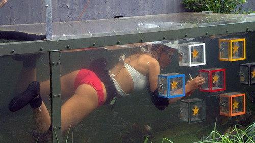 I'm a Celebrity...Get Me Out of Here! Season 13 Episode 17 - Surf and Turf