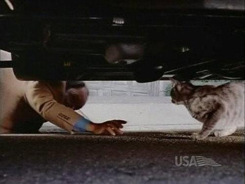 Nash Bridges Season 6 Episode 4 - Land Pirates