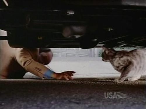 Nash Bridges Season 6 Episode 4 - Land Pirates