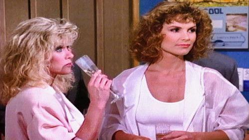 Knots Landing Season 9 Episode 9 - Flight of the Sunbirds