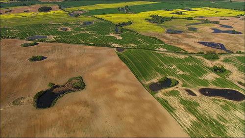 Wild Germany Season 2 Episode 3 - Wild Uckermark