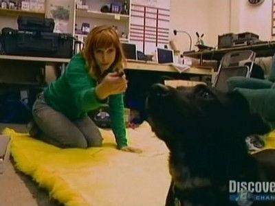 MythBusters Season 4 Episode 16 - Crimes and Myth-Demeanors (2)