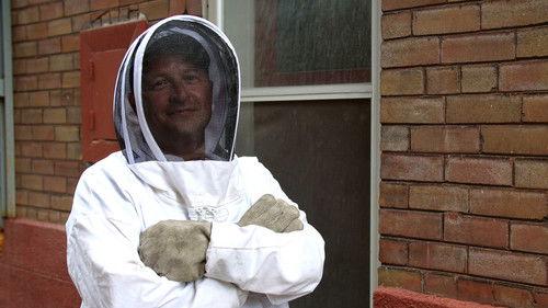 Louis and the Urban Jungle Season 1 Episode 2 - Episode 2