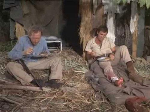 Flipper Season 3 Episode 3 - Disaster in the Everglades (2)