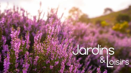 Jardins & Loisirs Season 26 Episode 8 - Episode 8