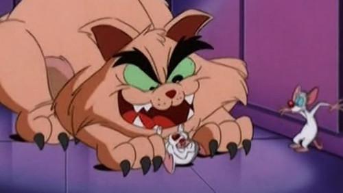 undefined Season 1 Episode 6 - The Cat That Cried Woof