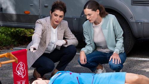 Die Rosenheim-Cops Season 25 Episode 9 - Verliebt in Rosenheim