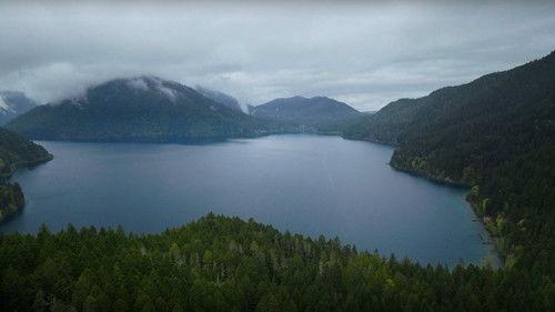 Wild Crime Season 3 Episode 4 - Mask of Sanity