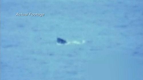 Shark Week Season 26 Episode 5 - I Escaped Jaws