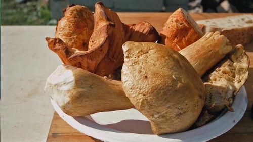 Original Fare Season 3 Episode 15 - Portland