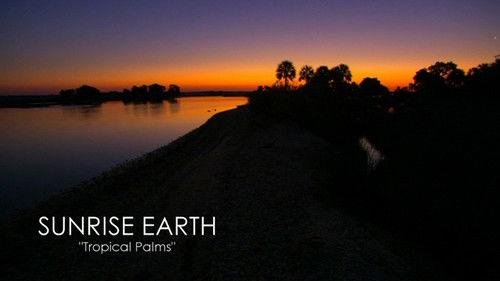 Sunrise Earth Season 1 Episode 8 - Tropical Palms