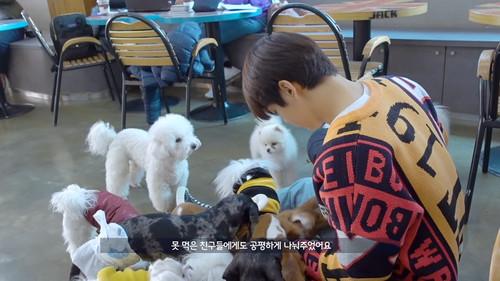 Background image for Episode 1