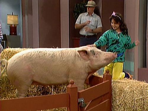Punky Brewster Season 3 Episode 17 - Punky's Porker