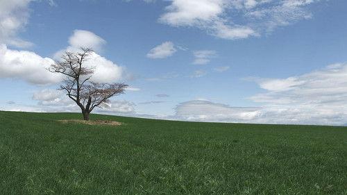 Shin Nihon Fudoki Season 4 Episode 8 - Episode 8