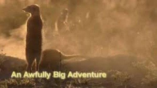Meerkat Manor Season 1 Episode 11 - An Awfully Big Adventure