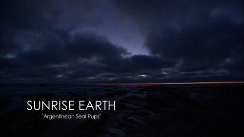 Sunrise Earth Season 3 Episode 18 - Argentinean Seal Pups