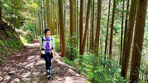 Because the Mountain is There Season 4 Episode 14 - Episode 14