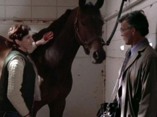 Da Vinci's Inquest Season 3 Episode 10 - You See How It Begins?