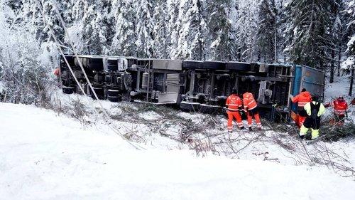 Background image for Wild Ride