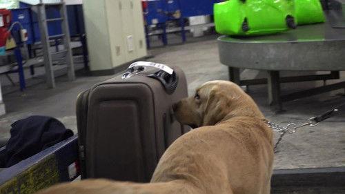 To Catch a Smuggler Season 3 Episode 3 - Cocaine in the Clothes