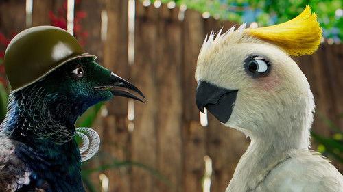 Bird's Eye View Season 2 Episode 6 - Save Our Tree