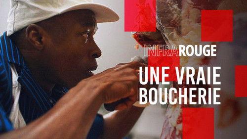 Infrarouge Season 16 Episode 2 - Episode 2