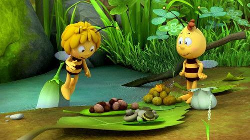 Maya the Bee Season 2 Episode 25 - Sulky Willy