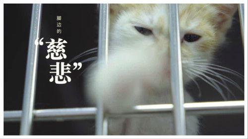 今生，请多指教 Season 3 Episode 2 - Episode 2