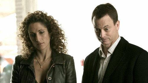 CSI: NY Season 2 Episode 10 - Jamalot