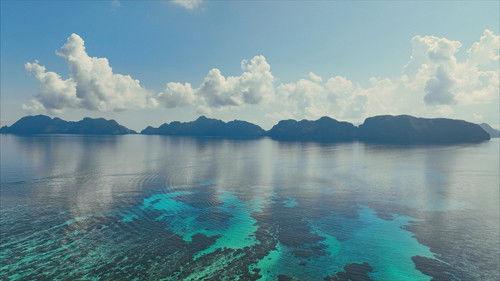 Robinson Season 24 Episode 17 - Episode 17