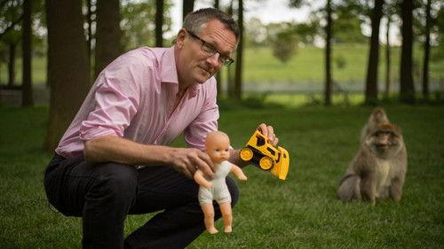 Horizon Season 52 Episode 6 - Is your Brain Male or Female?