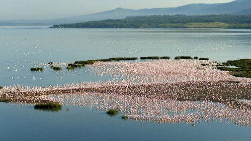 L'Afrique vue du ciel Season 1 Episode 2 - Episode 2