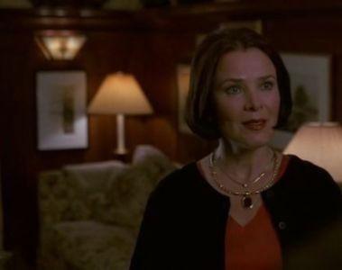 Law & Order Season 10 Episode 9 - Sundown