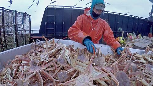 Deadliest Catch Season 12 Episode 16 - Life or Death Decision