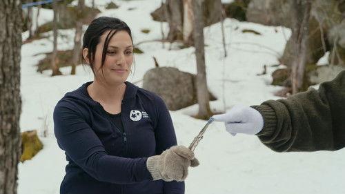 A Chef at the Shack Season 9 Episode 10 - Episode 10