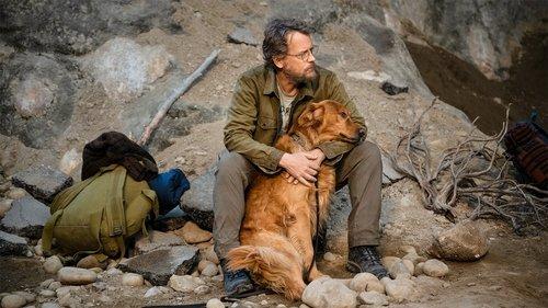 Background image for The Walk