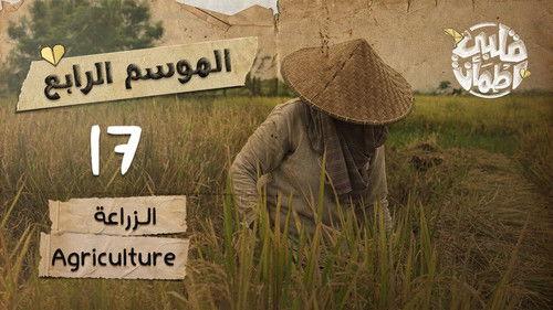 My Heart Relieved Season 4 Episode 17 - Agriculture