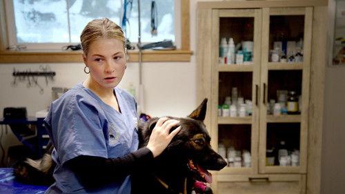 Dr. Oakley, Yukon Vet Season 10 Episode 8 - Pups in the Oven