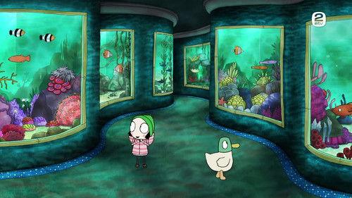 Background image for Planetarium Aquarium