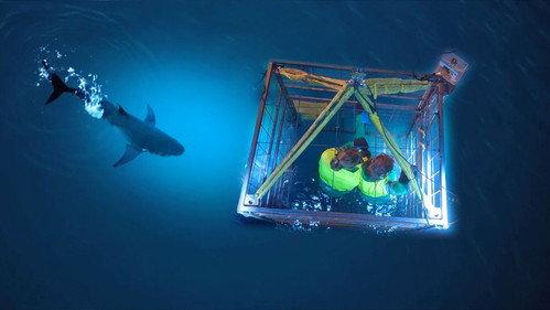 Code van Coppens Season 6 Episode 3 - Episode 3