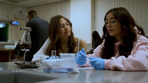 Background image for What Happened in the Woods