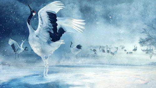 Asia Season 1 Episode 3 - The Frozen North