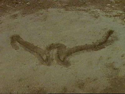 Are You Afraid of the Dark? Season 5 Episode 12 - The Tale of the Jagged Sign