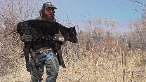 Mountain Men Season 9 Episode 10 - Tom's Big Day