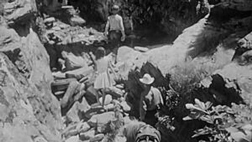 Poly Season 3 Episode 8 - Episode 8