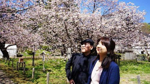 Nice Town Walks in Hokkaido with Rui Yoshida Season 4 Episode 22 - Matsumae Sakura edition